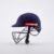 Gray-Nicolls Atomic 360 Cricket Helmet