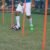 Nivia Agility Stick